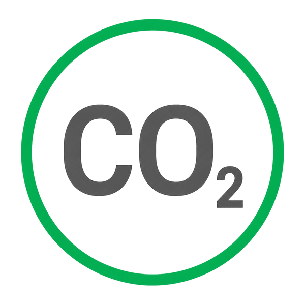 Carbon Monoxide Alarm